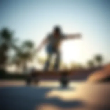 Magnificent Selecting the Ideal Skateboard for Novices Magnificent Selecting the Ideal Skateboard for Novices