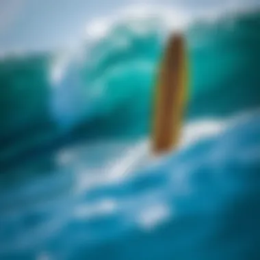 Notable A Comprehensive Guide to the Best Foam Surfboards