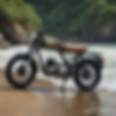 Adventure Sports Enthusiasts with the Carver Moped Surf Rack Adventure sports enthusiasts using Carver moped surf rack