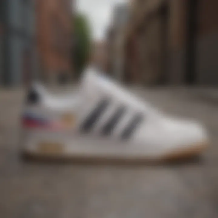 An In-Depth Exploration of adidas Forum 84 Low ADV Skate Shoes Summary