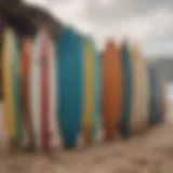 A selection of surfboards lined up on the beach, showcasing various designs and colors.