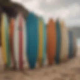 A selection of surfboards lined up on the beach, showcasing various designs and colors.