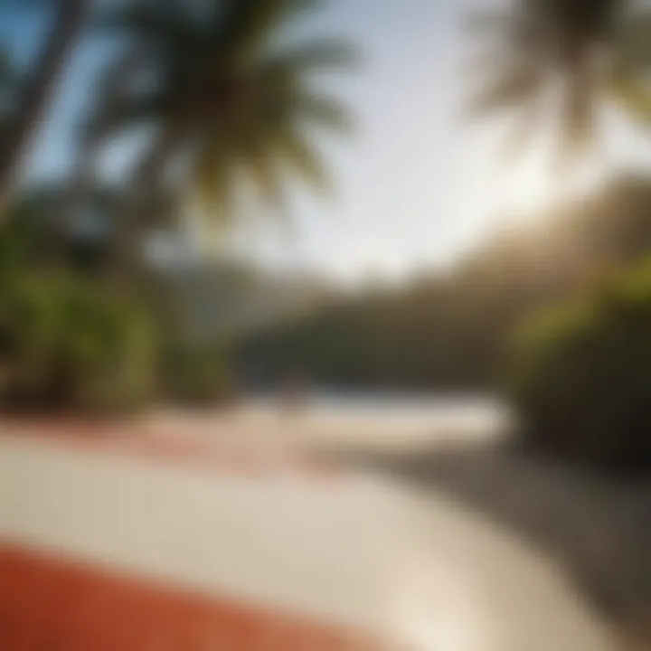 Close-up of a surfboard resting on the sandy shore, surrounded by vibrant tropical scenery.