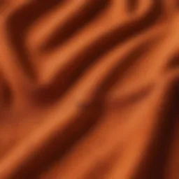 Close-up of burnt orange Nike sweatpants showcasing fabric texture