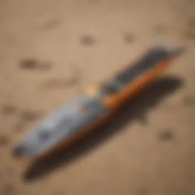 Maintenance tips for Cabrinha Switchblade kite displayed on a beach setting.