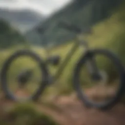 Overview of a Cannondale cross country bike on a rugged trail