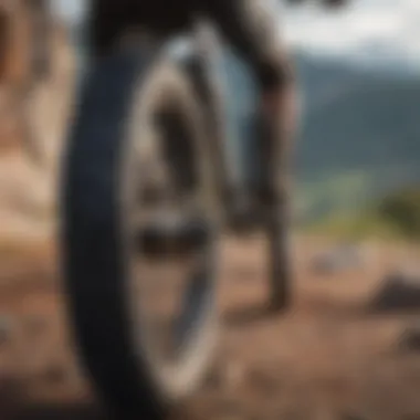 Close-up of high-performance tires on a mountain bike