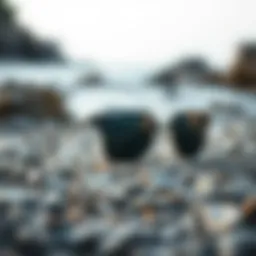 Stylish Costa Isla sunglasses on a rocky beach