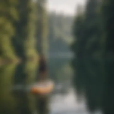 A scenic view of a paddle boarder enjoying a vibrant lake surrounded by nature