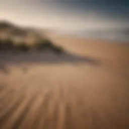 A beautiful coastal view of Camber Sands showcasing sandy beaches and dunes