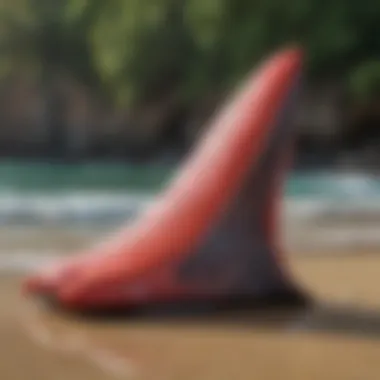 Unique Design of Morey Boogie Fins Close-up view of a Morey Boogie fin showcasing its unique design and features.