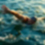 Exploring Open Water Swimming Events in 2022 Introduction
