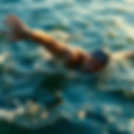 Exploring Open Water Swimming Events in 2022 Introduction