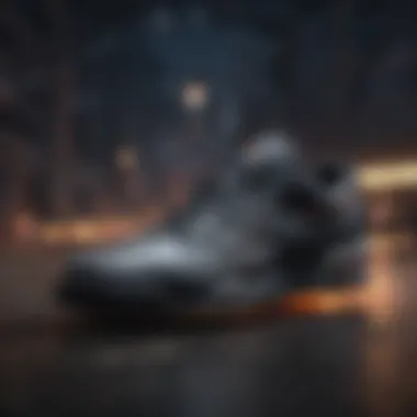 Dynamic Reebok Footwear for Extreme Sports Dynamic Reebok footwear designed for extreme sports.