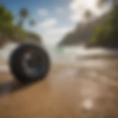 Wildlife and coastal ecosystem along Oahu's beach