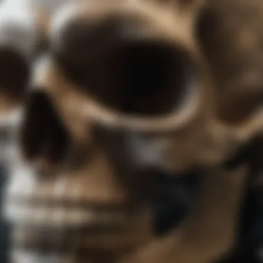 Detailed View of Skull Grip Texture Close-up of skull grip tape texture