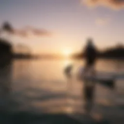 A serene sunset view of a stand up paddler gliding over calm waters