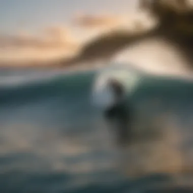 Surfer Embracing the Thrill of the Waves Surfer riding a powerful wave at sunset on North Shore