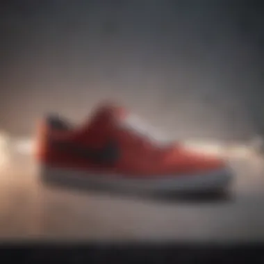 Variety of Nike SB Chron Colorways Different color variations of Nike SB Chron shoes displayed together