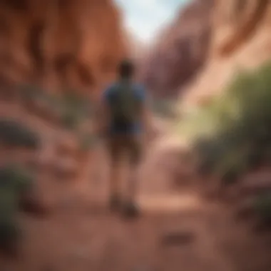 Hiking in the Valley of Fire Hikers on a scenic trail in the Valley of Fire