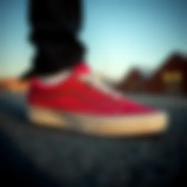 Exploring the Vans Old Skool V: A Comprehensive Overview Summary
