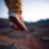 Exploring the Versatility of Tan Brown Vans in Extreme Sports Introduction