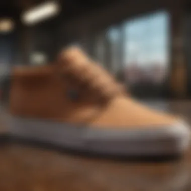Craftsmanship of Vans Chukka Low Shoes Close-up of Vans Chukka Low shoe showcasing its craftsmanship