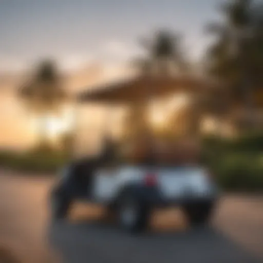 Golf cart equipped with paddle board racks on a scenic course