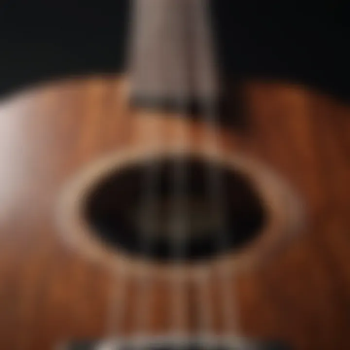 Close-up view of ukulele strings laid out neatly