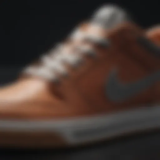 Close-up of Nike SB shoe design showcasing innovative features