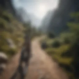 A scenic mountain trail perfect for biking