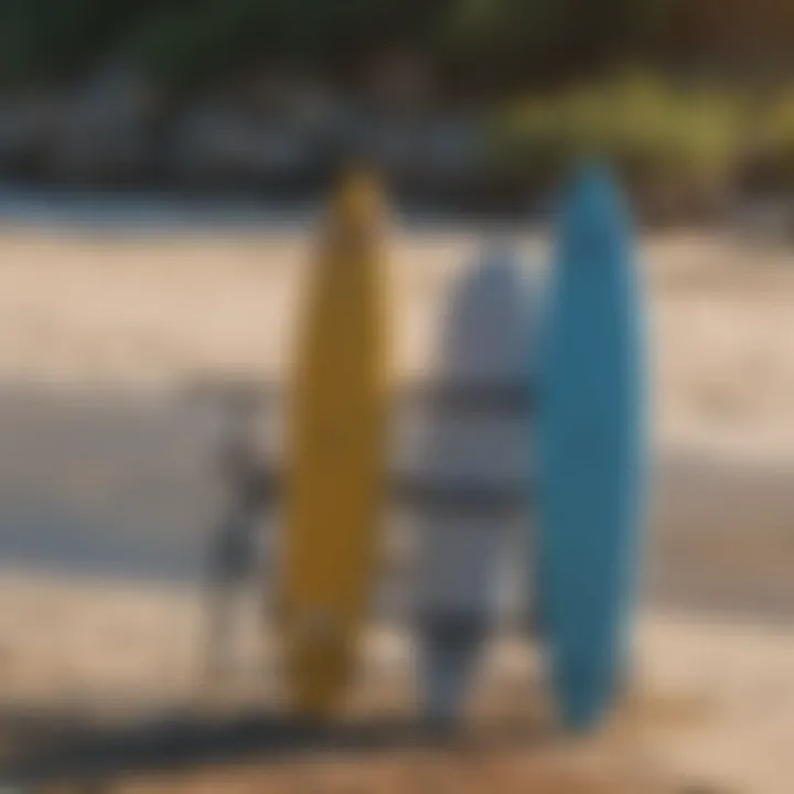 Different styles of paddle board racks displayed for comparison