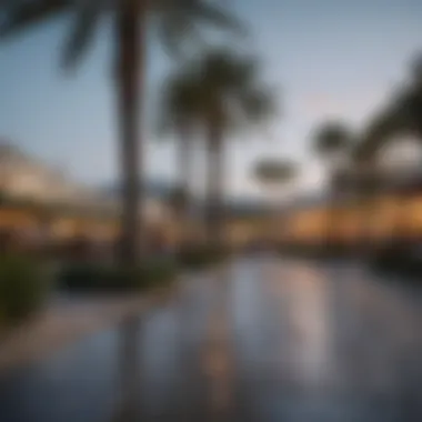 Relaxing Outdoor Space at Palm Beach Outlets A serene outdoor area within Palm Beach Outlets perfect for relaxation