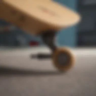 Quality Components and Construction Detailed view of the components of a Sector Nine bamboo longboard, emphasizing quality materials