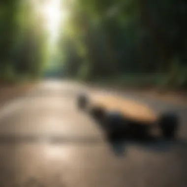 Innovative Eco-Friendly Designs Comparison of different bamboo longboard designs highlighting their eco-friendly features