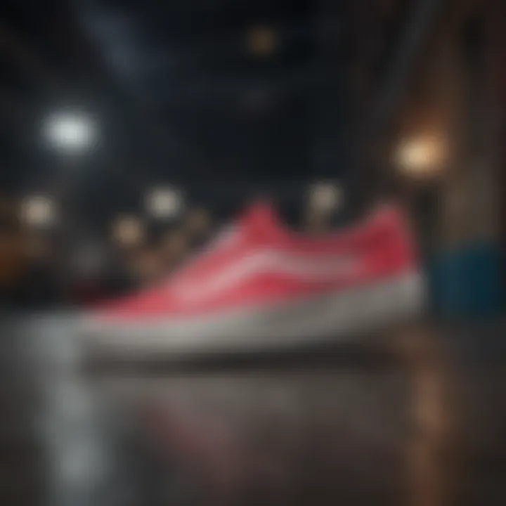 Vans shoes collection showcasing various styles and colors