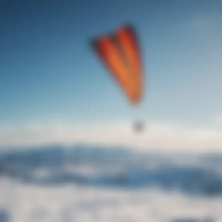 Group of kites flying in the clear blue sky over snow-covered fields