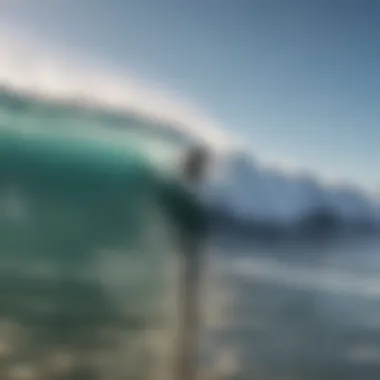 A surfer analyzing wave conditions on a mobile app