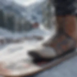 Different types of snowboards displayed