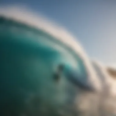 The Catch Surf Log 9: Redefining Surfing Performance and Experience Summary The Catch Surf Log 9: Redefining Surfing Performance and Experience Summary