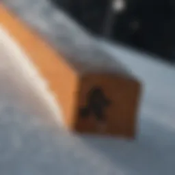 Close-up of snowboard grip showcasing texture and design