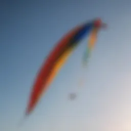 An array of different types of kite lines displayed on a surface