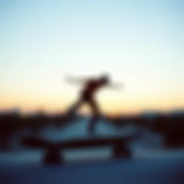 Notable The Original Tony Hawk Skateboard: A Detailed Examination and Sales Guide