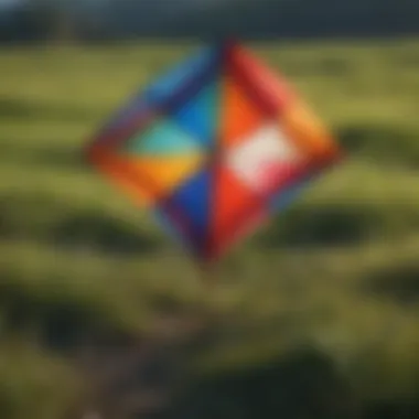 An array of kites made from different materials laid out on a grassy field