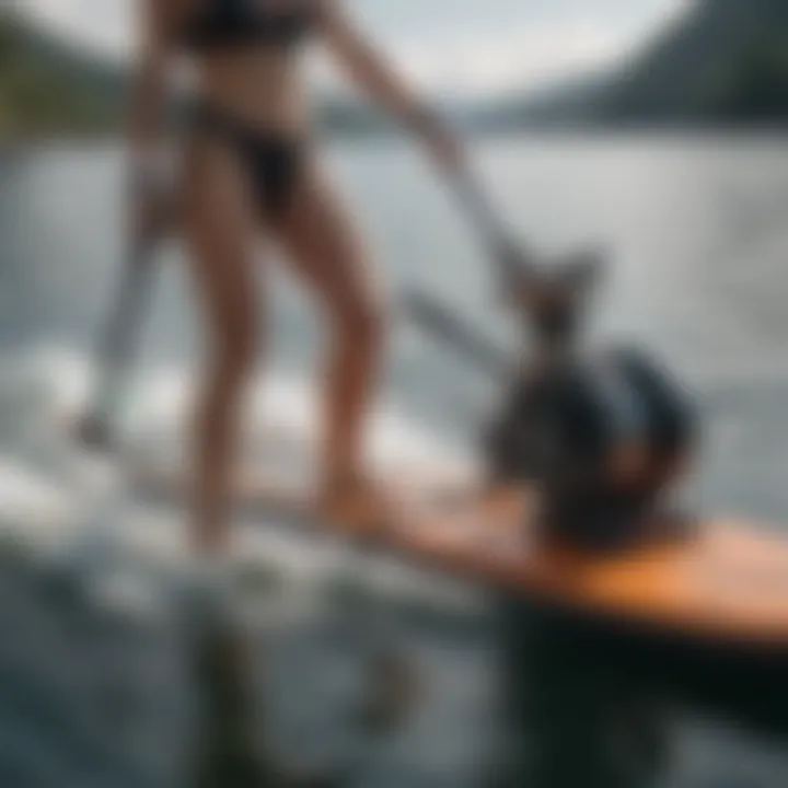 User-friendly controls of an electric motor on a paddle board