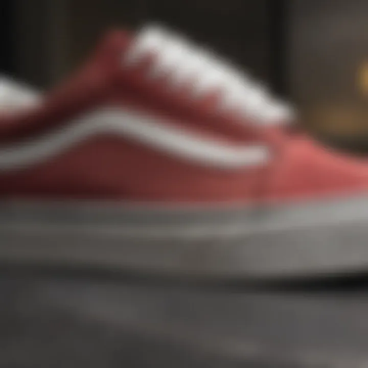 Close-up of the materials used in Vans Old Skool, highlighting quality and texture