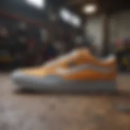 Vans TNT shoe design showcasing unique features