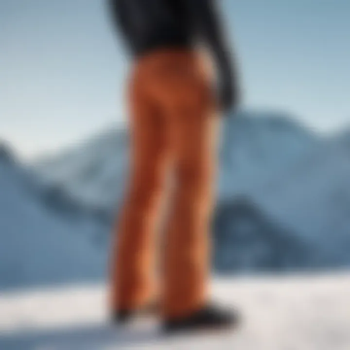 Comparative analysis of Volcom ski pants against top competitors